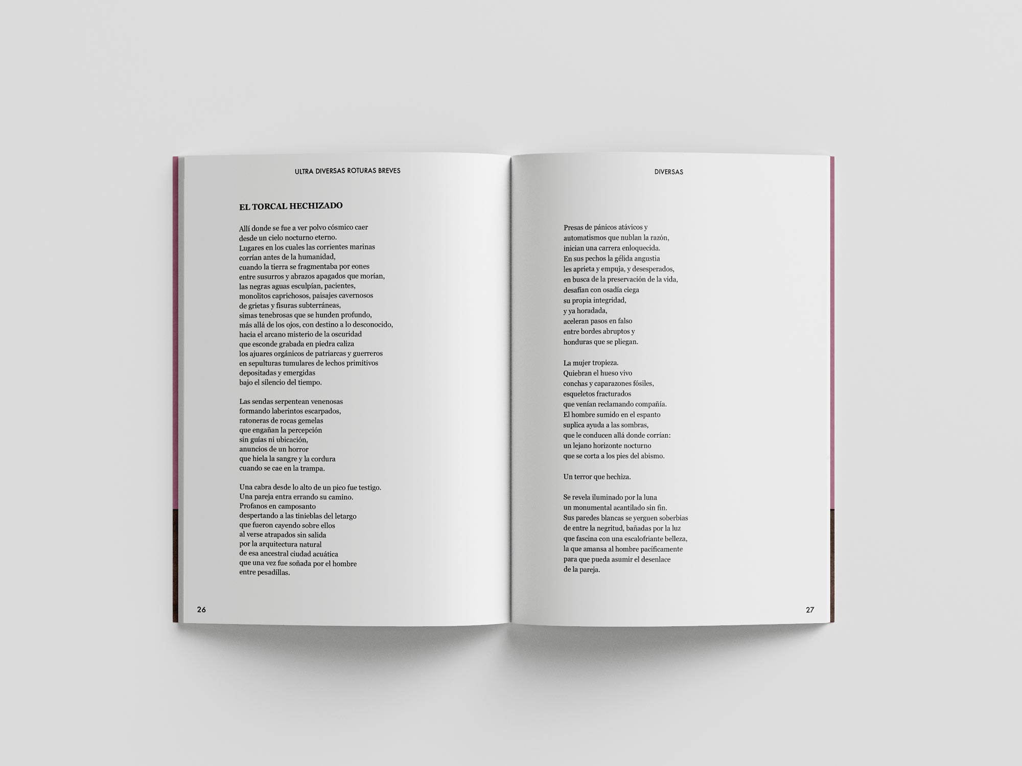 Poetry book: Ultra Diversas Roturas Breves, by Mario Jodra. Interior